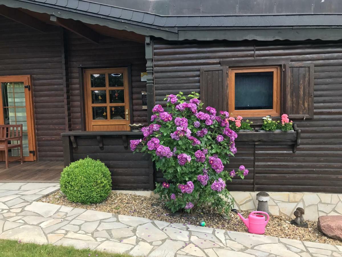 Вилла Holzhaus Harz Schielo Экстерьер фото